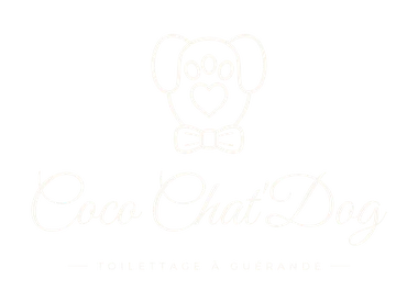 Coco Chat'Dog — toilettage à Guérande